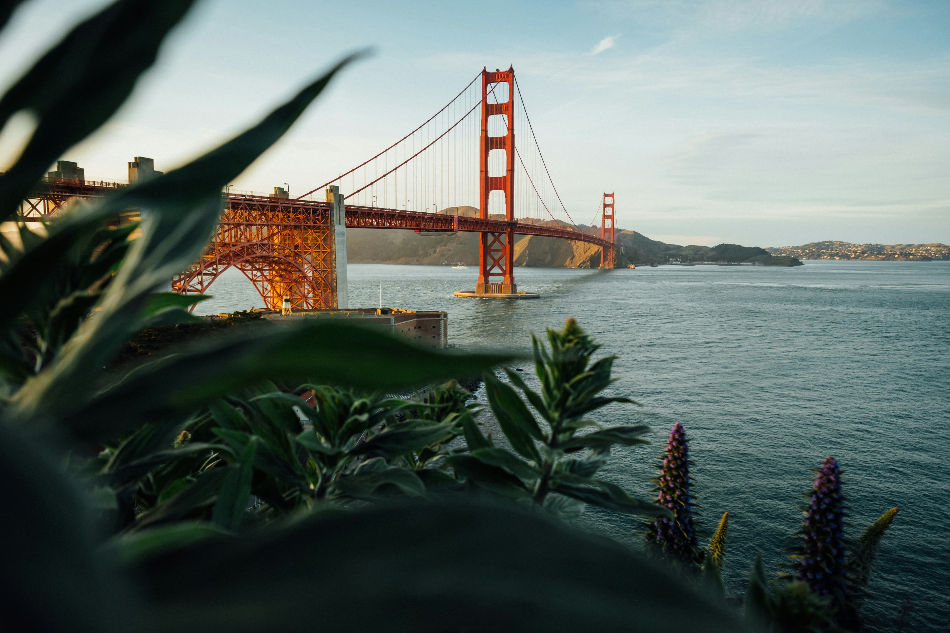 The Golden Gate from the Presidio, through the greenery